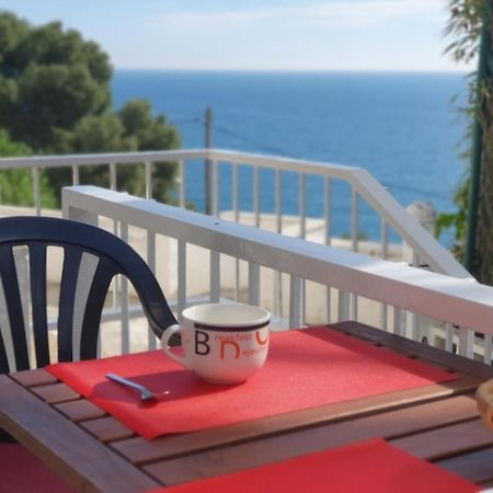 Apartamento Cerca Cala Crancs Playa سالو المظهر الخارجي الصورة
